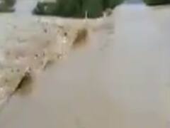 છેલ્લા 24 કલાકમાં રાજ્યના 222 તાલુકામાં વરસ્યો વરસાદ, ક્યાં કેટલોક નોંધાયો ? જુઓ વીડિયો 