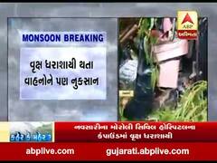 નવસારી: મોરોલી સિવિલ હોસ્પિટલના કમ્પાઉન્ડમાં વૃક્ષ ધરાશાયી થતા વાહનો દબાયા,જુઓ વીડિયો 