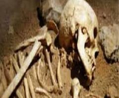 ভিডিওয় দেখুন: ৬ বছর আগেই দাদাকে খুন! থানায় গিয়ে দোষ কবুল ভাইয়ের, মাটি খুঁড়ে উদ্ধার কঙ্কাল 