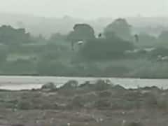 દાહોદના ઝાલોદની નદીમાં અસ્થિ વિસર્જન કરતા સમયે પાંચ યુવકો ફસાયા, જુઓ વીડિયો