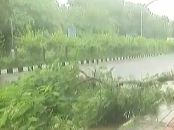 ગાંધીનગરના નઘરોળ પ્રશાસનથી જનતા પરેશાન, વરસાદના કારણે ઝાડ ધરાશાયી