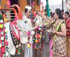 Bail Pola 2020 | यंदा बैलपोळा सणावर कोरोनाचं सावट; बैलांची मिरवणूक न काढता घरच्या घरी सण साजरा