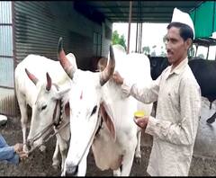 TOP 100 News | देशभरातील शंभर महत्वाच्या बातम्यांचे अपडेट्स एका क्लिकवर