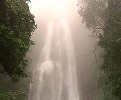 Amboli Lockdown | ... म्हणून आंबोली सात सप्टेंबरपर्यंत बंद