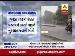 પોરબંદર જિલ્લાના બરડા પંથકમાં વરસ્યો વરસાદ, જુઓ વીડિયો