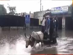 भारी बारिश से दिल्ली का बुरा हाल, बैलगाड़ी का चलना भी मुश्किल | 7 Ka Punch