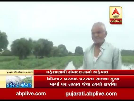 કડીમાં વરસેલા વરસાદથી ખેતરો બેટમાં ફેરવાયા, પાકને ભારે નુકસાન, જુઓ વીડિયો