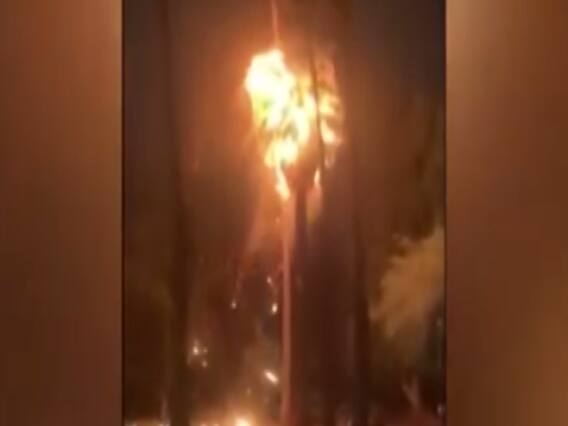 When lightning struck palm tree in America's Arizona