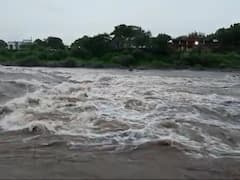 ગીર સોમનાથઃ સાસણ ગીરમાં આવેલો હિરણ-1 ડેમ ભરાયો, જુઓ વીડિયો