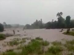 નર્મદા જિલ્લામાં ઉપરવાસમાં ભારે વરસાદ, મોહન નદીમાં પૂર આવતા મીની ડેમ છલકાયો
