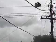 પાટણ જિલ્લાના હારીજના મુખ્ય બજારોમાં લટકી રહ્યા છે જીવતા તાર, જુઓ વીડિયો