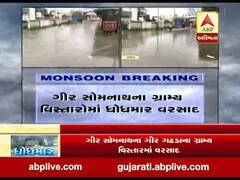 કોડીનારમાં 2 ઈંચ વરસાદ વરસતા અનેક વિસ્તારોમાં ભરાયા પાણી, જુઓ વીડિયો 