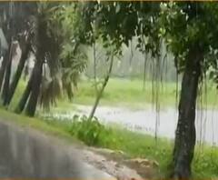 রবিবার থেকে ফের নিম্নচাপের ভ্রুকূটি, সপ্তাহের শুরুতেই বৃষ্টির পূর্বাভাস