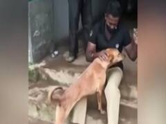 इंसान और जानवर के बीच रिश्तों की ये कहानी ... Kerala के Idduki भू-स्खलन की घटना 