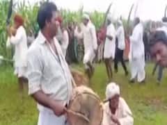 Rajasthan: Visuals of celebration of World Tribal Day