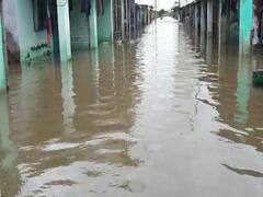 સુરતના ઓલપાડ તાલુકામાં વરસ્યો ધોધમાર વરસાદ, સાયણ ગામમાં ભરાયા પાણી