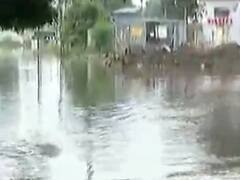 છેલ્લા 24 કલાકમાં નડિયાદમાં આઠ ઇંચ વરસાદ ખાબક્યો, ઠેર ઠેર ભરાયા પાણી