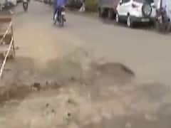 અમદાવાદના સોલા વિસ્તારમાં ગાયત્રી એપાર્ટમેન્ટ પાસે રસ્તો બિસ્માર હાલતમાં, જુઓ વીડિયો