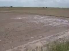 પોરબંદરઃ બરડા અને ઘેડ પંથકમાં જમીન સર્વે નંબર બદલાતા ખેડૂતોની જમીન ગાયબ