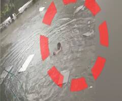 Mumbai Rains | तरुणाचं प्रसंगावधान, मुंबईत नाल्यातून वाहून जाणाऱ्या चिमुकल्याला वाचवलं!