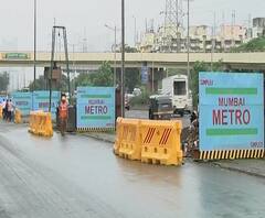 Mumbai Metro 4 | मुंबई मेट्रो 4च्या मार्गातील 357 खारफुटीची झाडं तोडण्यास हायकोर्टाची परवानगी