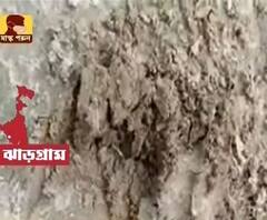 জঙ্গলে মিলল বিভিন্ন আকারের পায়ের ছাপ, ঝাড়গ্রাম শহরে ফের অজানা জন্তুর আতঙ্ক