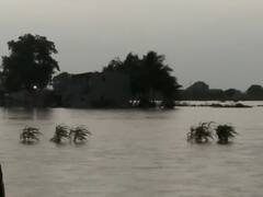 છેલ્લા 24 કલાકમાં રાજ્યના ચાર તાલુકાઓમાં પાંચથી આઠ ઇંચ વરસાદ ખાબક્યો