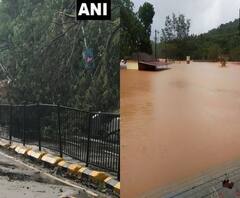 প্রবল বৃষ্টিতে মুম্বইয়ের রাস্তায় ধস, ভেঙেছে বহু গাছ, প্লাবিত কর্ণাটকের বহু এলাকা
