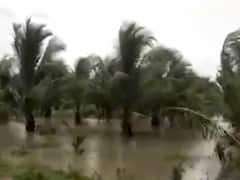  ગીર સોમનાથના સુત્રાપાડામાં ચાર કલાકમાં ચાર ઇંચ વરસાદથી જળબંબાકાર, જુઓ વીડિયો