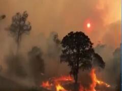 California Wildfires: 1931 के बाद अमेरिका ने पहली बार देखी इतनी भयंकर आग !