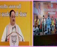 Bihar Election 2020 बिहार विधानसभा निवडणुकांसाठी भाजप,जेडीयू आणि लोकजनशक्ती एकत्र लढणार-जे.पी.नड्डा