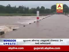 ધોધમાર વરસાદથી તાપીમાં નદી-નાળા છલકાયા, પાણી ફરી વળતા અનેક રસ્તાઓ થયા બંધ