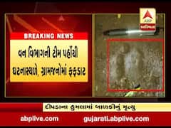 દાહોદઃ ધાનપુરના કાંટુ ગામે દીપડાના હુમલામાં સાત વર્ષીય બાળકીનું મૃત્યુ, જુઓ વીડિયો