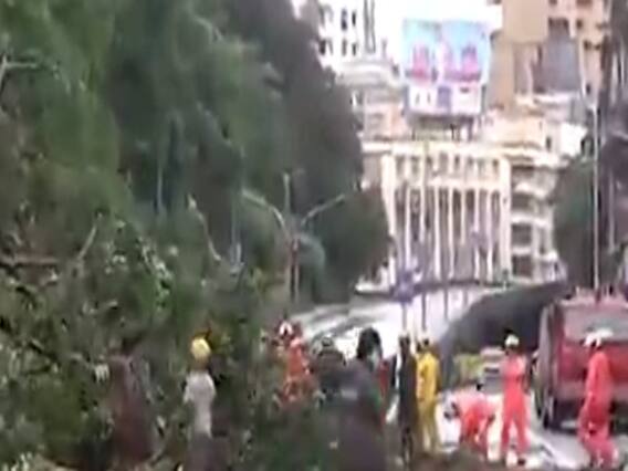 ભારે વરસાદથી મુંબઇમાં અલગ અલગ વિસ્તારોમાં વૃક્ષો થયા ધરાશાયી