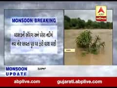 વલસાડની ઔરંગા અને પરેરા નદીમાં નવા નીર આવ્યા, જુઓ વીડિયો 