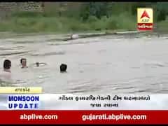 ગોંડલમાં વસવાડી નદીમાં સાઇકલ ચાલક તણાયો, જુઓ વીડિયો 