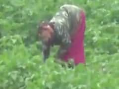 ભાવનગર: વલ્લભીપુરમાં ઓછા વરસાદ બાદ પણ કેનાલમાં પાણી ન છોડાતા પાક સુકાવા લાગ્યા, ખેડૂતો ચિંતિત