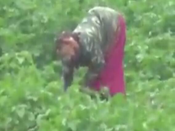 ભાવનગર: વલ્લભીપુરમાં ઓછા વરસાદ બાદ પણ કેનાલમાં પાણી ન છોડાતા પાક સુકાવા લાગ્યા, ખેડૂતો ચિંતિત