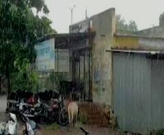 Rural News | हिंगोलीत पुन्हा पावसाची हजेरी, शेतकऱ्यांना मोठा दिलासा | माझं गाव माझा जिल्हा 