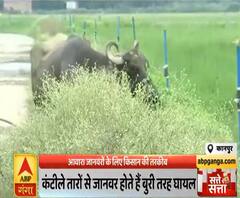 Satte Pe Satta: अब जानवर खेत में जाएंगे, तो तगड़ा झटका खाएंगे|ABPGanga