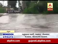 ભાવનગર જિલ્લાના મહુવા અને તળાજા પંથકમાં પણ ધોધમાર વરસાદ, જુઓ વીડિયો 
