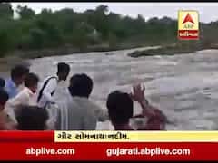 ગીર સોમનાથના આજોઠા ગામે સરસ્વતી નદીમાં બે યુવકો તણાયા, જુઓ વીડિયો 