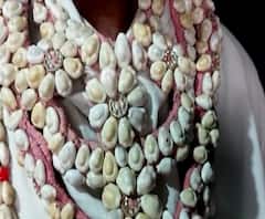 शरद पवारांच्या विधानानंतर कवडीची किंमत किती? कवडी म्हणजे काय? कवडीचं महत्त्व आणि किंमत किती? 