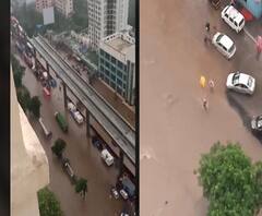 Monsoon Updates | मुसळधार पावसामुळे घोडबंदर रोडवर वाहतूक कोंडी