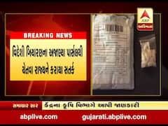 ખેડુતો માટે અગત્યના સમાચાર, કેન્દ્રના કૃષિ વિભાગે વિદેશી બિયારણના અજાણ્યા પાર્સલથી ચેતવા રાજ્યને કરાયા સતર્ક, જુઓ વીડિયો