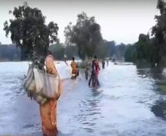 এক ঝলকে : পরীক্ষা ইস্যুতে হুগলিতে পথে নামল টিএমসিপি, পশ্চিম মেদিনীপুরের একাধিক অংশে অব্যাহত জল-যন্ত্রণা