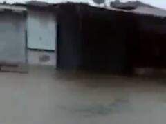  ભારે વરસાદથી મોરબીના અમરણગામમાં જળબંબાકાર, જ્યાં જુઓ ત્યાં પાણી જ પાણી