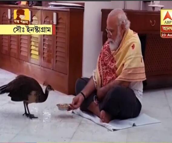 নিজের হাতে ময়ূরদের খাওয়ালেন প্রধানমন্ত্রী, নিজেই শেয়ার করলেন সেই ছবি