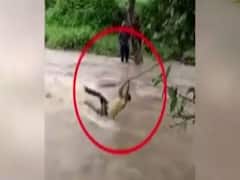 Rajasthan: उफनती नदी में खौफनाक स्टंट करते-करते हुए बह गया युवक, मुश्किल से बची जान