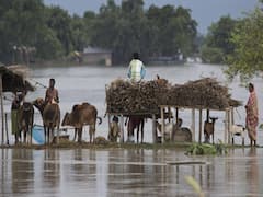 Watch top 25 news of the day in fatafat style